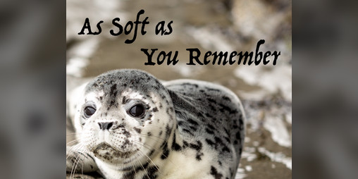 Cover image for As Soft as You Remember