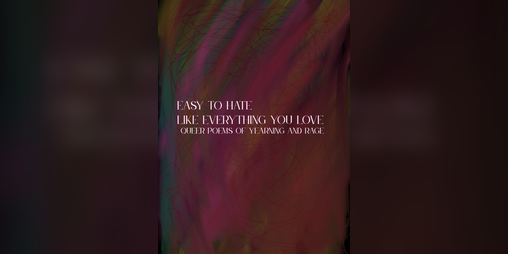 Cover image for easy to hate like everything you love