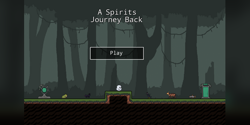 Cover image for A Spirits Journey Back