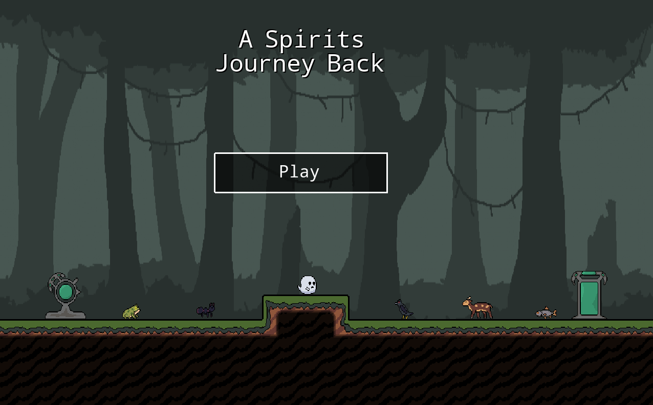 Cover image for A Spirits Journey Back