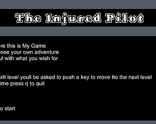 The Injured Pilot