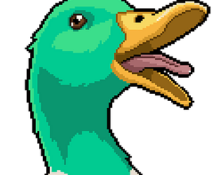 What The Duck