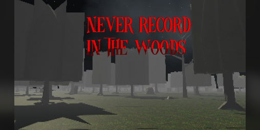 Cover image for Never Record in The Woods