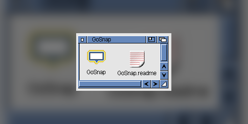 Cover image for GoSnap