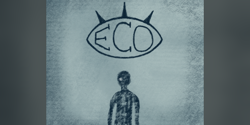Cover image for Eco