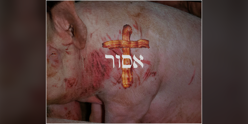 Cover image for Haram