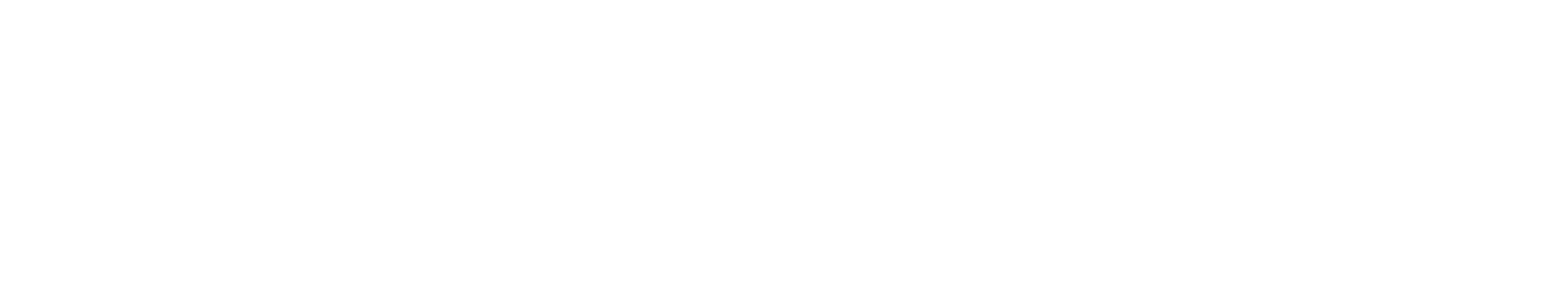 DOGGY DEFENDER