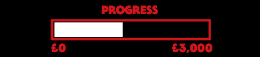 Progress Bar - £1,300 out of £3,000