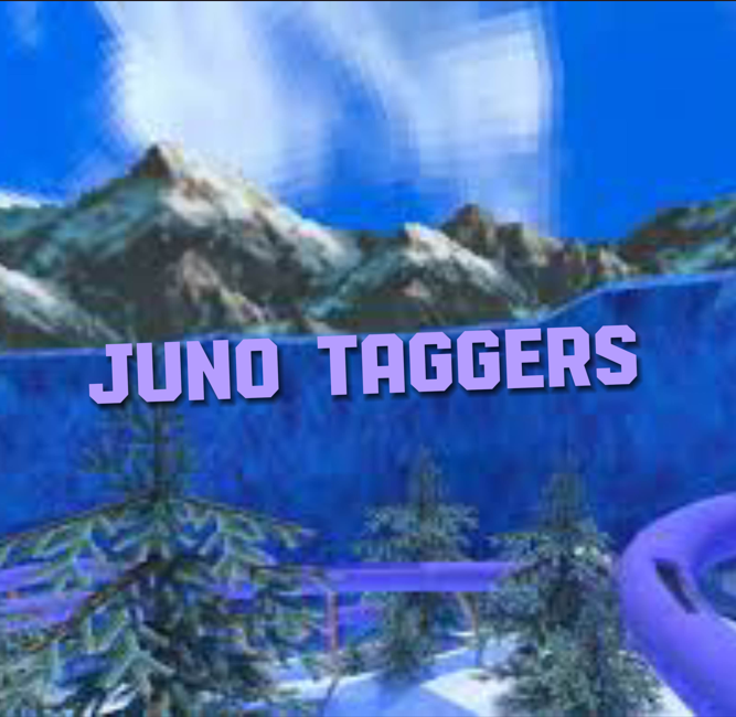 Cover image for Juno Taggers