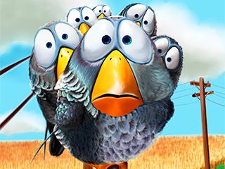 Bird Valley