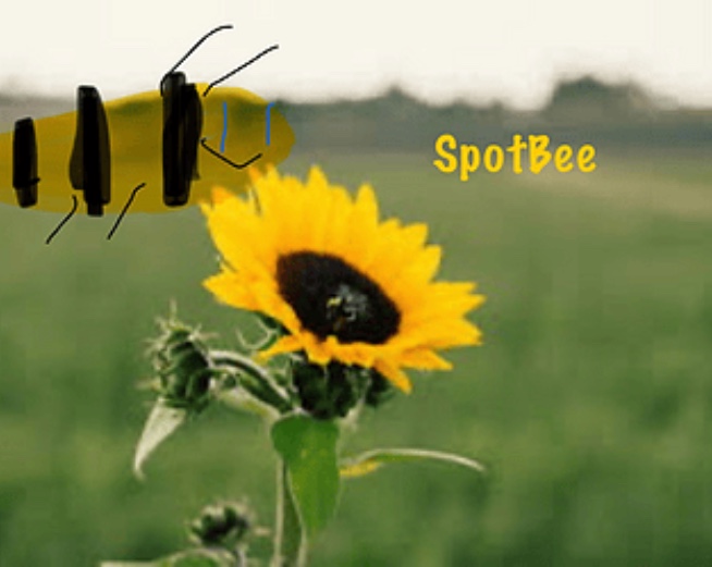 SpotBee