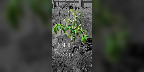 Cover image for kinship & steel