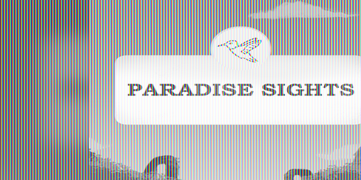 Cover image for Paradise Sights