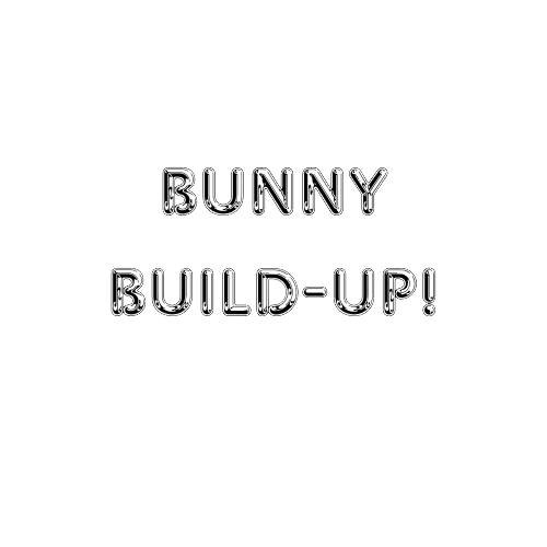Bunny Build-Up!