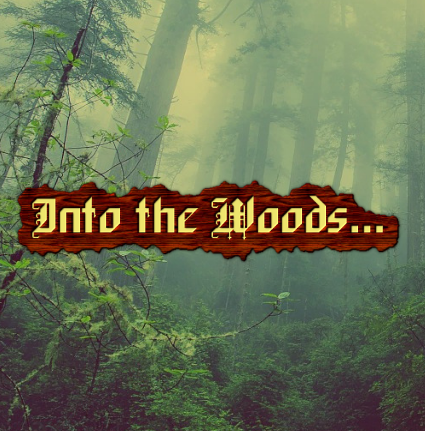 Into the Woods...