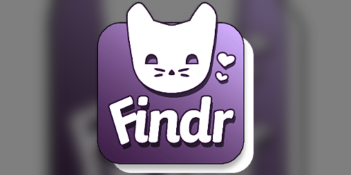 Cover image for Findr