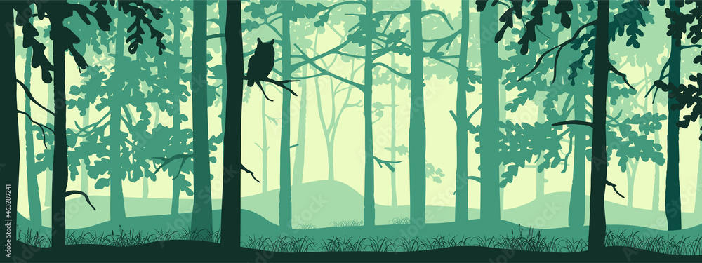 Forest Explorer