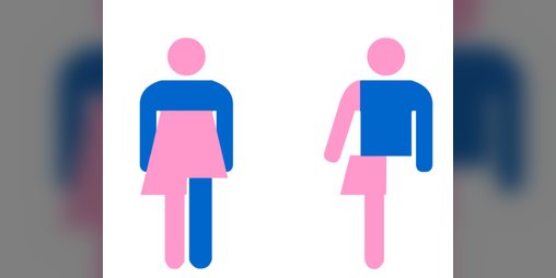 Cover image for Dress-up Gender