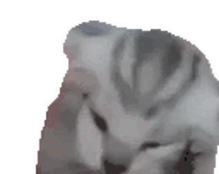 Scared Ass Cat (please read description)