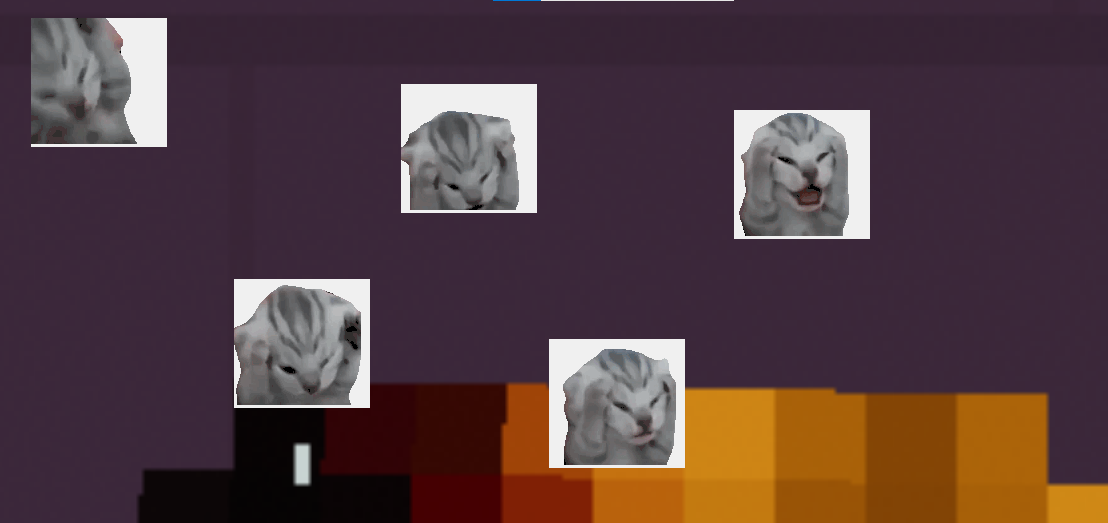 Scared Ass Cat (please read description)