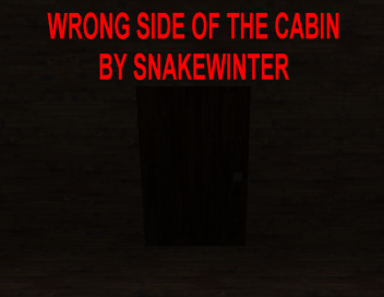 Wrong Side of the Cabin cover