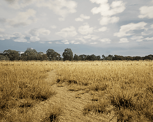 Grass Circle
