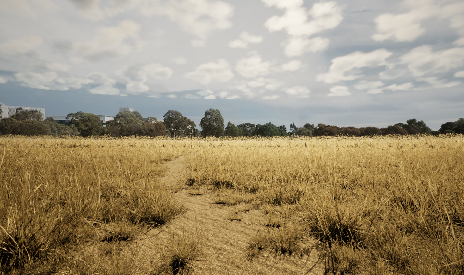 Grass Circle