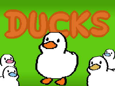 Ducks