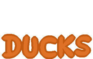 Ducks