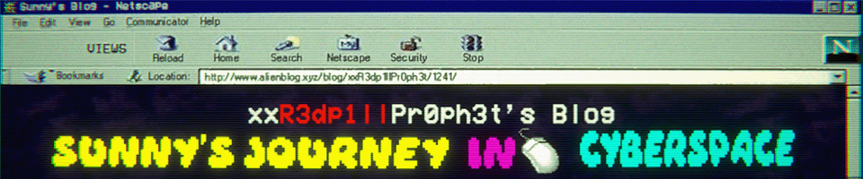 Sunny's Journey In Cyberspace