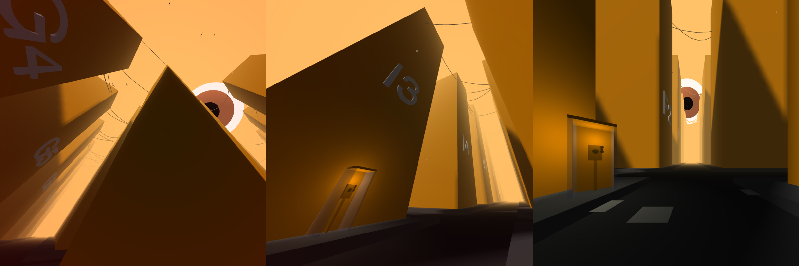 The eye