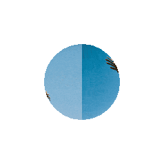 virus ig (actual virus)