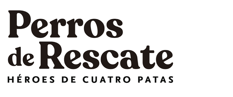 Perros de rescate, héroes de cuatro patas