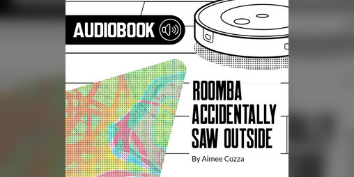 Cover image for Roomba Accidentally Saw Outside - Audiobook Edition