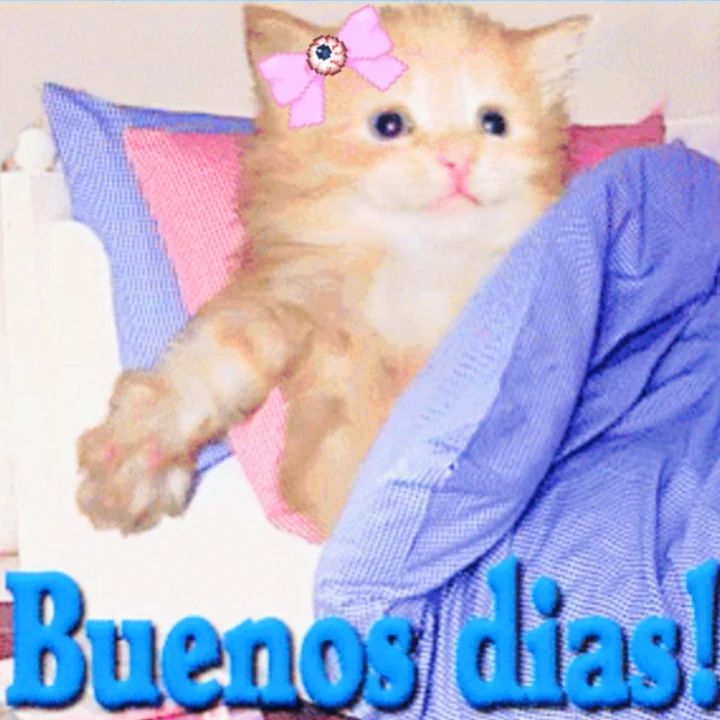 Buenos dias!
