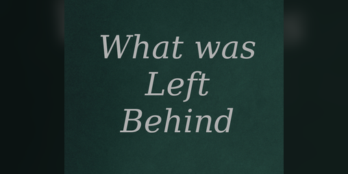 Cover image for What was left behind