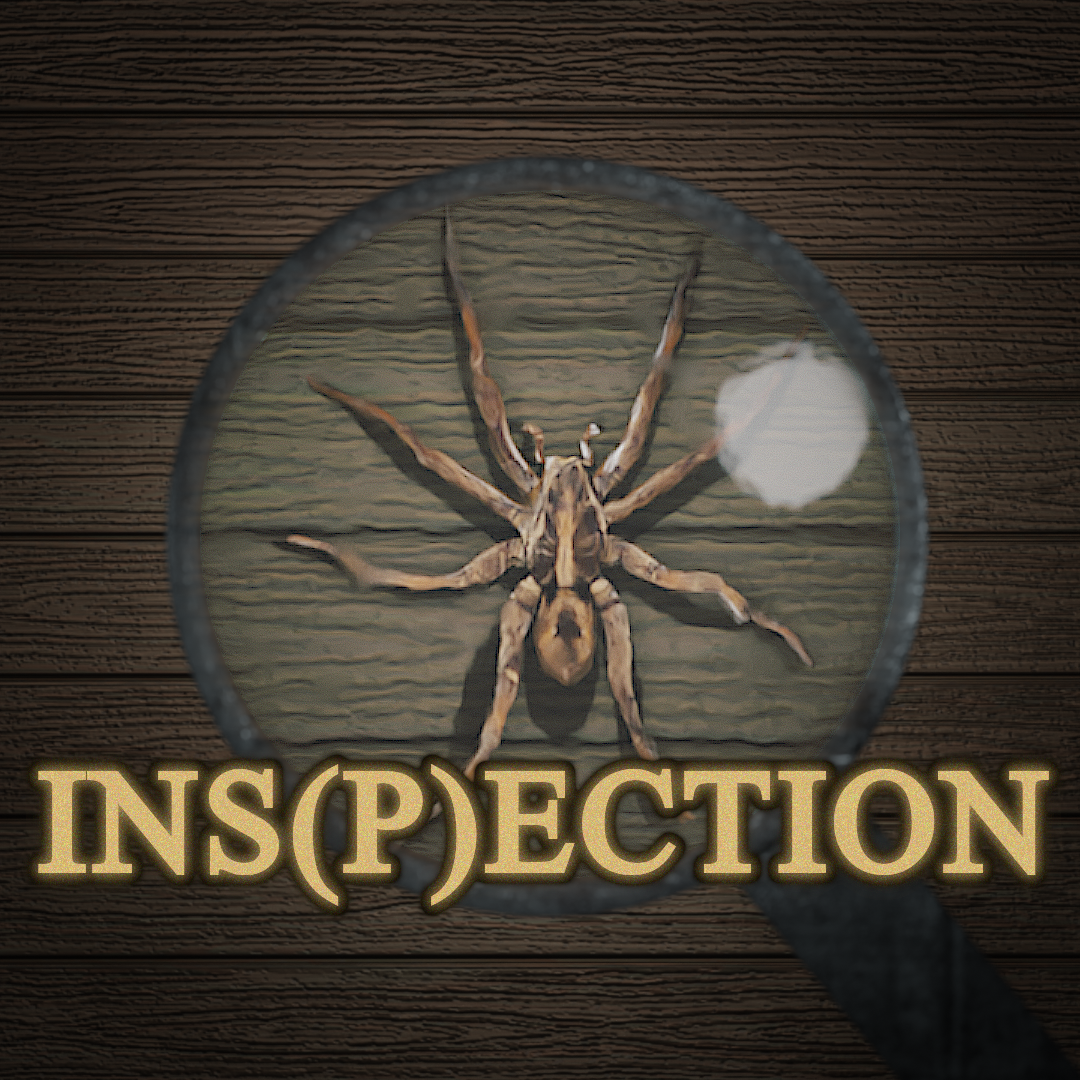 INS(P)ECT-ION