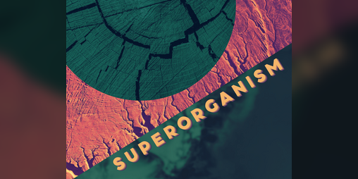 Cover image for Superorganism