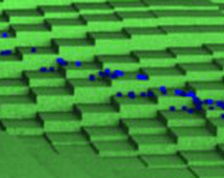 MWGrid - Simulation software for a day's march