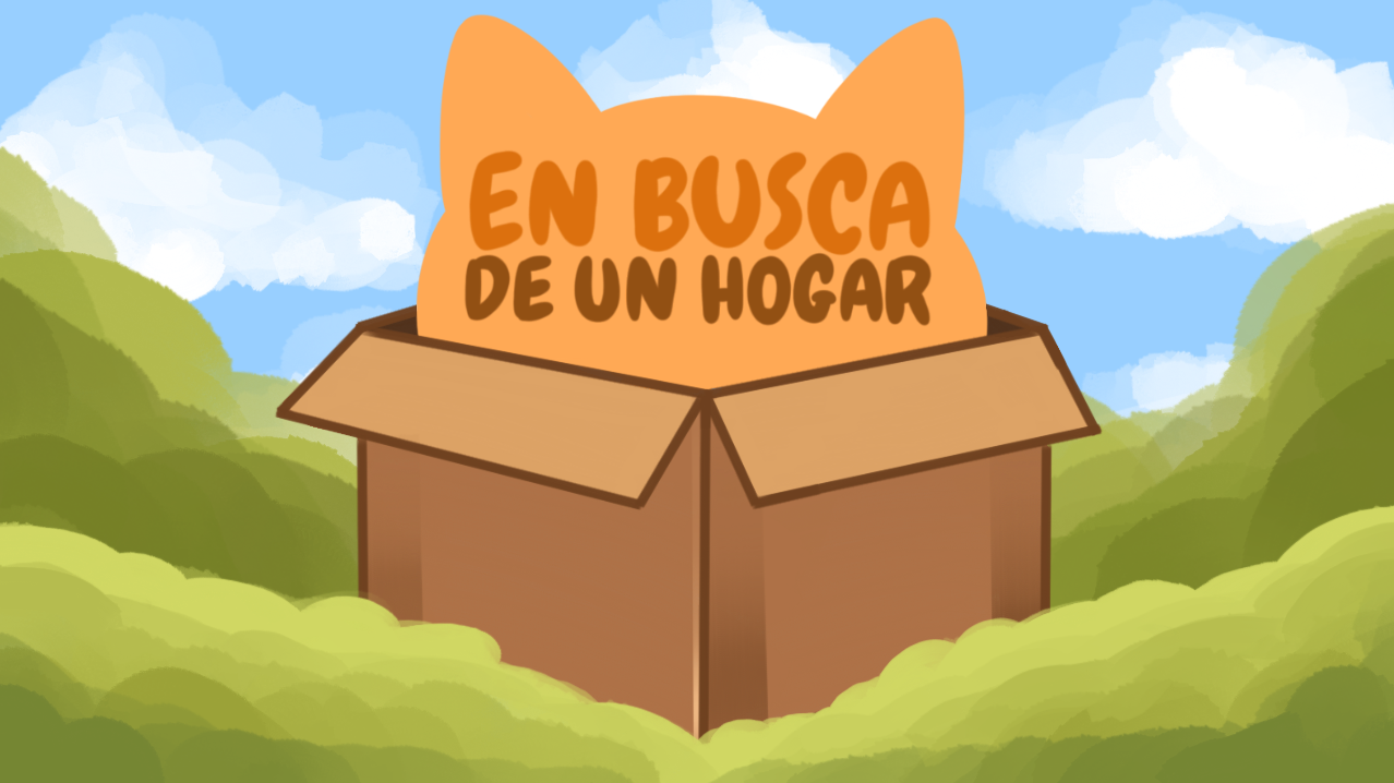 En busca de un hogar