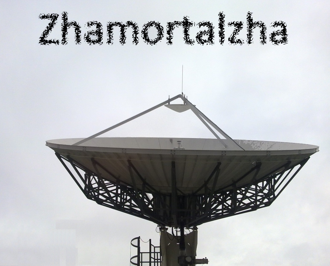 Cover image for Zhamortalzha