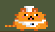 Cover image for Chef Cat