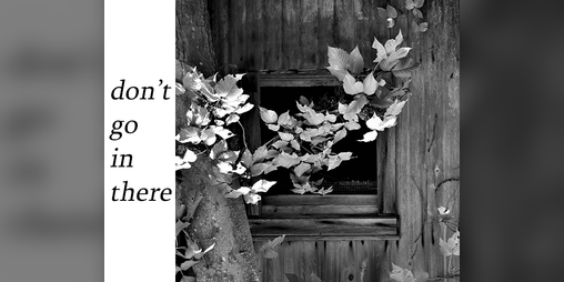 Cover image for don't go in there