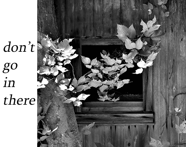 Cover image for don't go in there