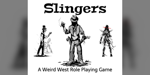 Cover image for Slingers