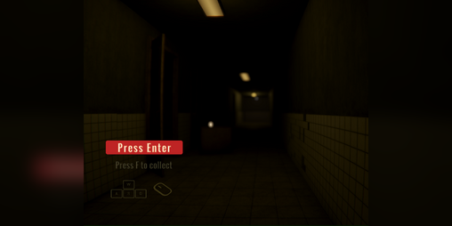 Cover image for Collector