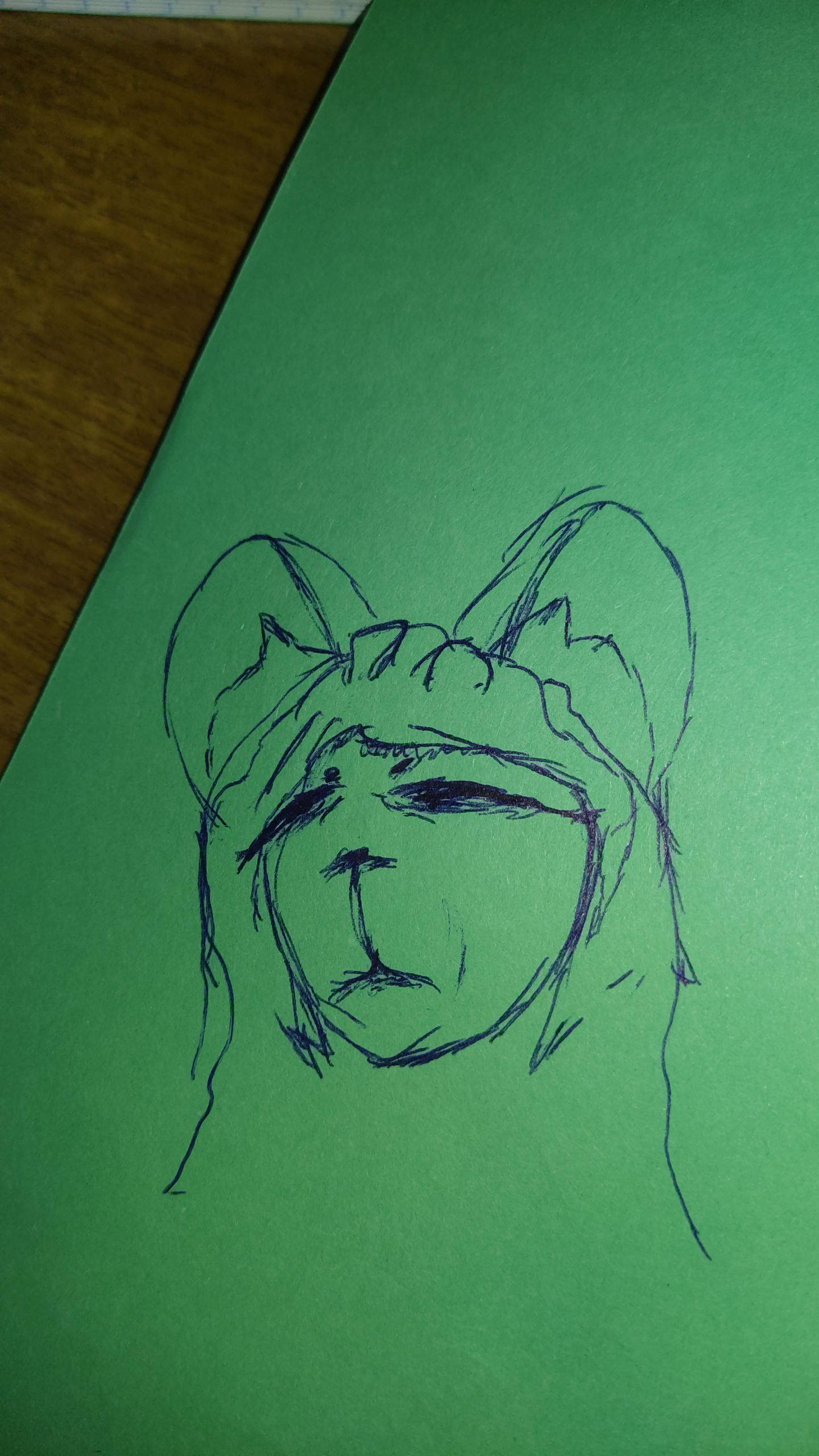 mishu is confused