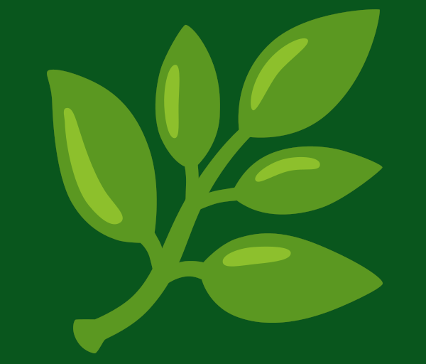 Cover image for Baião for Zelda