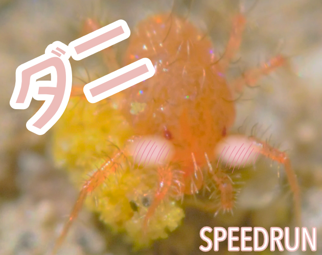 Spiny Speedrun Demo
