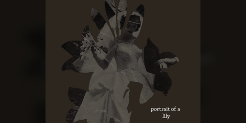 Cover image for Portrait of a Lily